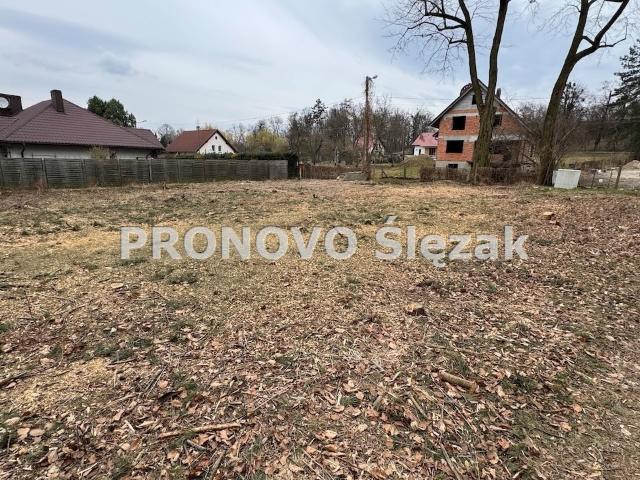 Grunt na sprzedaż w Wilczyn, Dolnośląskie