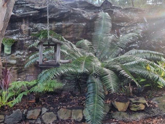 House for rent in Kenthurst, Sydney