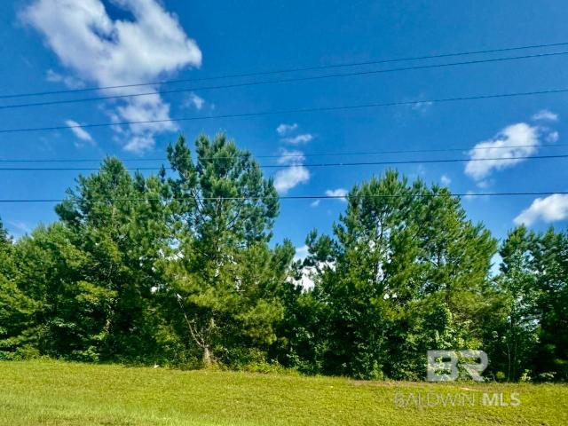 Land for sale in Evergreen, Alabama
