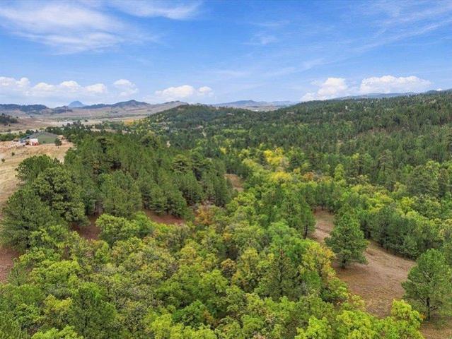 Land for sale in Whitewood, Lawrence County