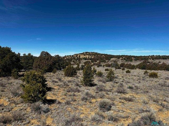 Land for sale in Pie Town, Catron County