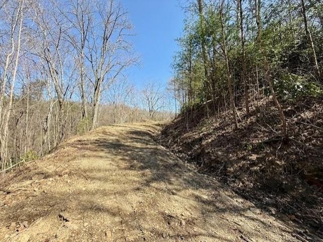 Land for sale in Brasstown, North Carolina