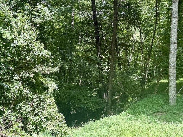 Land for sale in Brasstown, Clay County