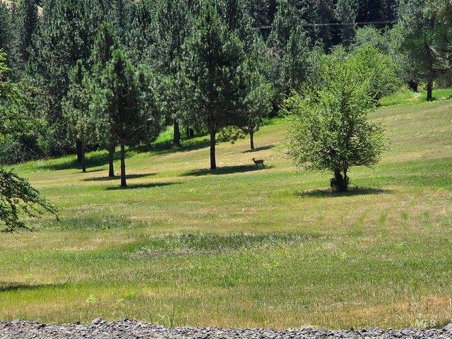 Land for sale in Kooskia, Idaho