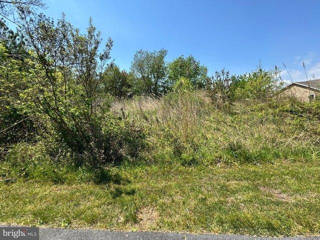 Land for sale in Virginia
