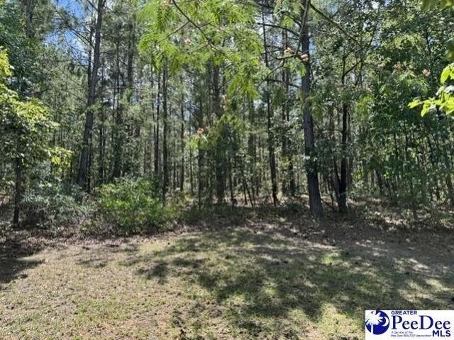 Land for sale in Darlington, South Carolina
