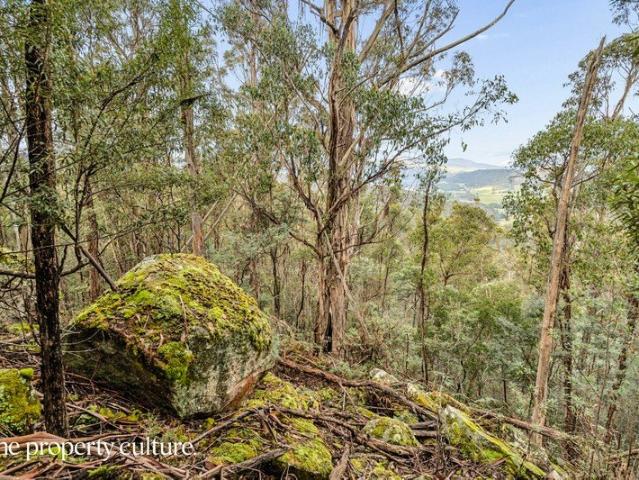 Land for sale in Ranelagh, Tasmania
