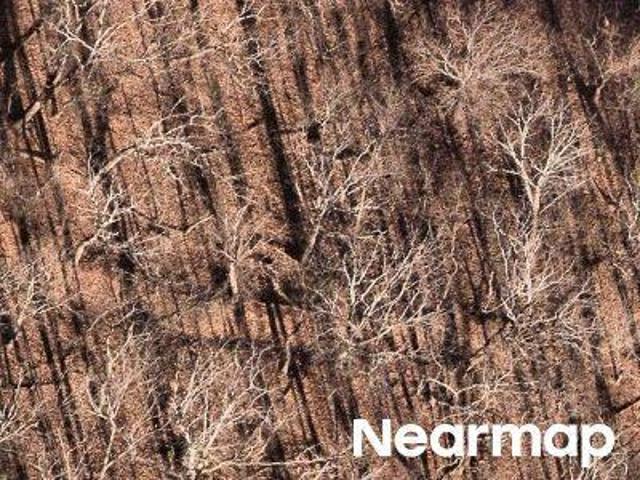 Land for sale in Jasper, Georgia