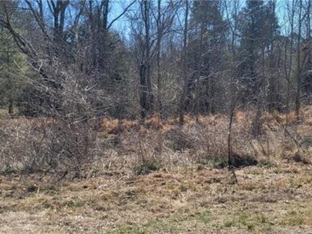 Land for sale in Whitsett