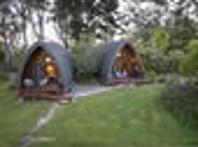 House for sale in Tasman