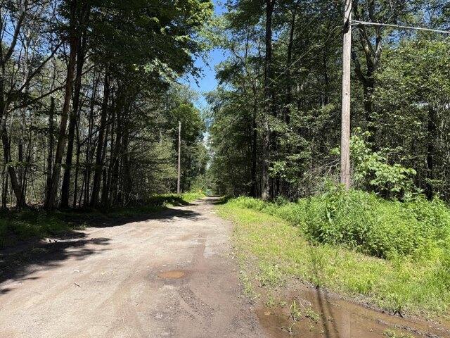 Land for sale in Newfoundland