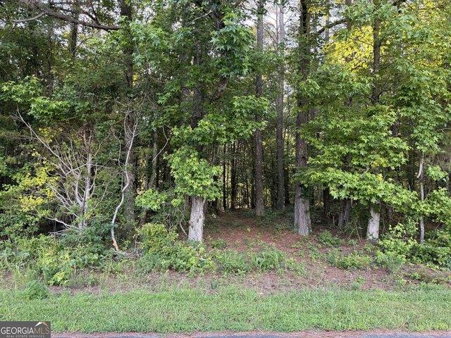 Land for sale in Haralson, Georgia