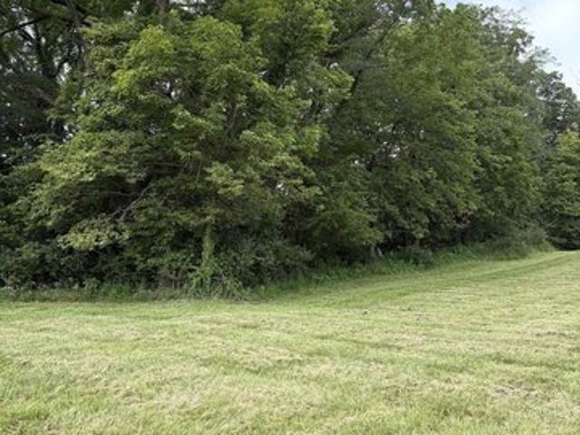 Land for sale in Mulberry, Indiana