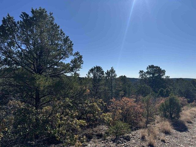 Land for sale in Timberon, New Mexico