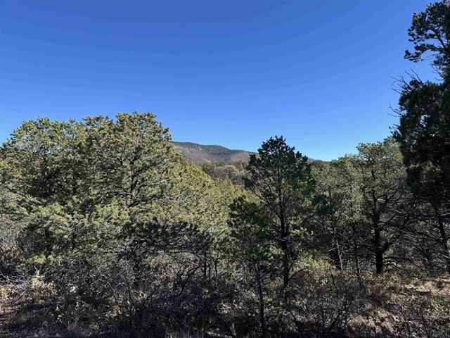 Land for sale in Timberon, New Mexico