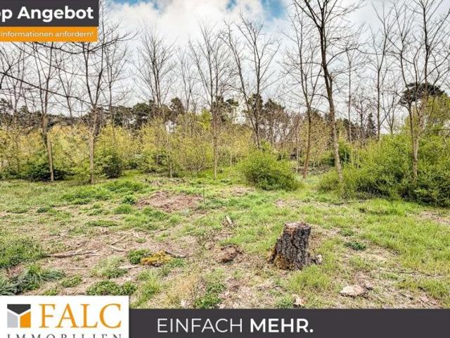 Erdgeschosswohnung kaufen in Michendorf, Brandenburg