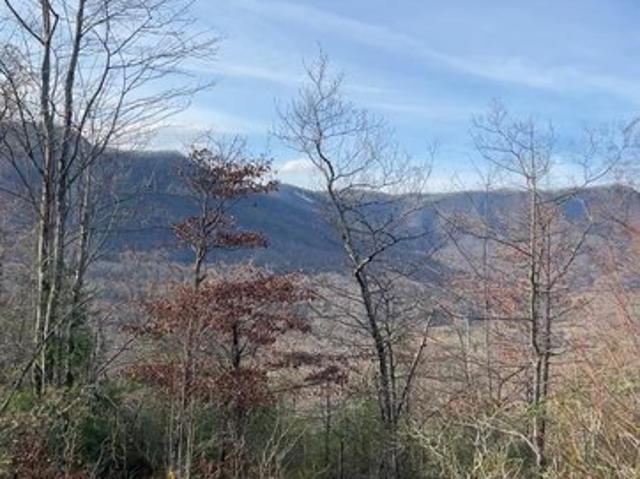 Land for sale in Marion, North Carolina