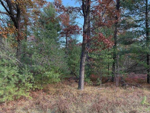 Land for sale in Alger, Michigan