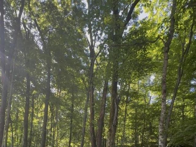 Land for sale in Kentucky