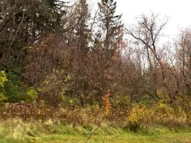 Land for sale in Luck, Polk County