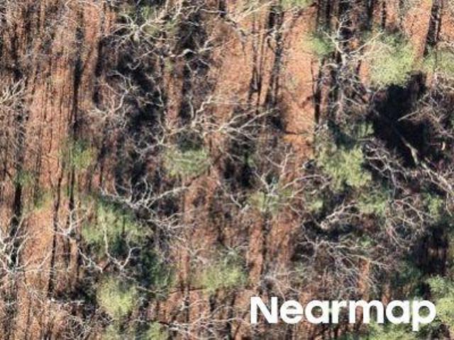 Property for sale in Pickens, Georgia