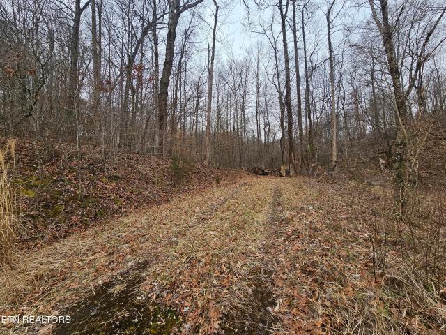 Land for sale in Virginia
