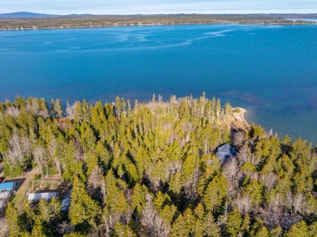 Land for sale in Steuben, Maine