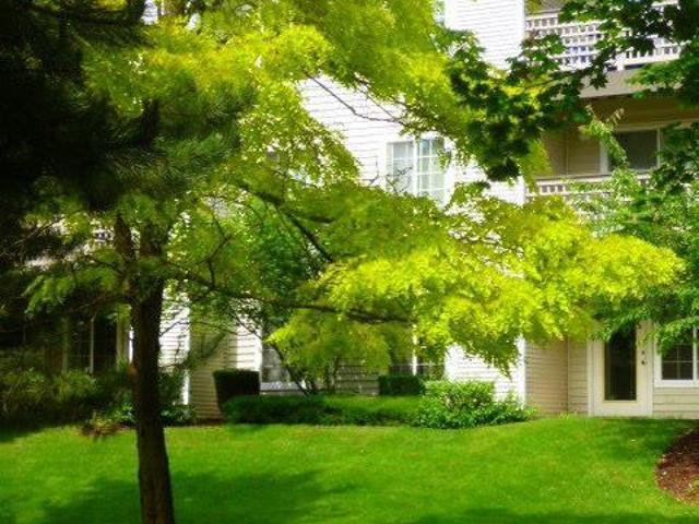 Apartment for rent in Maple Valley