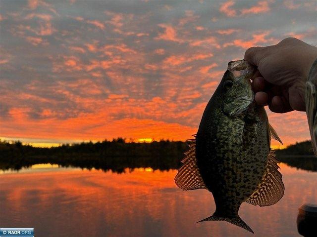 Land for sale in Cook, Minnesota