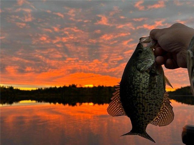 Land for sale in Cook, Minnesota