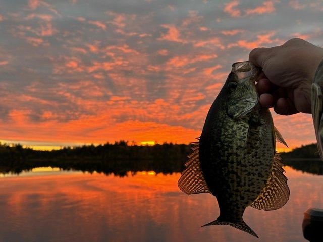 Land for sale in Cook, Minnesota