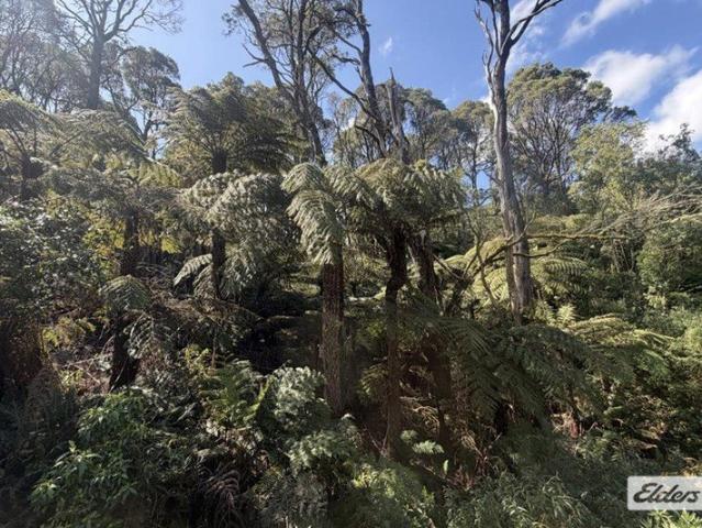 Cottage for sale in Madalya, Shire of Wellington