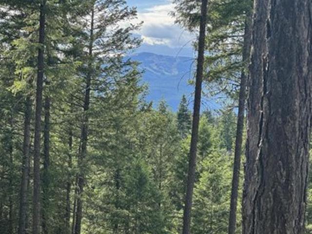 Land for sale in Sandpoint, Idaho