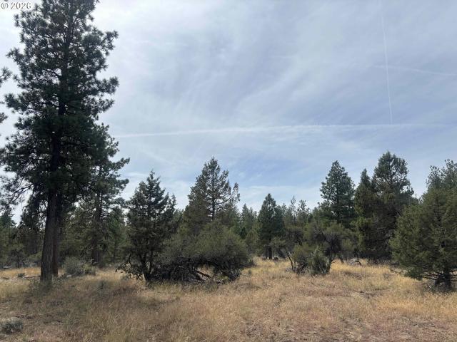 Land for sale in Oregonia