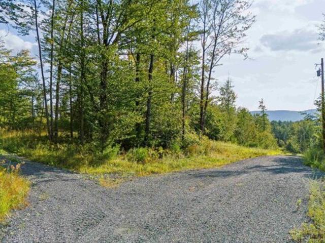 Land for sale in Plantsville, Vermont