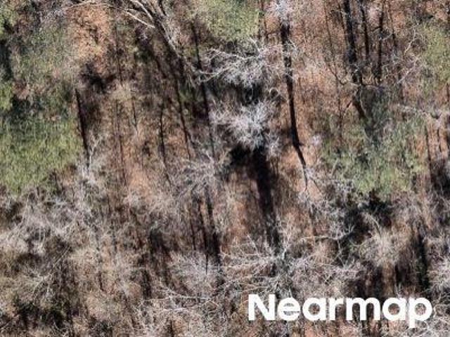 Property for sale in South Carolina