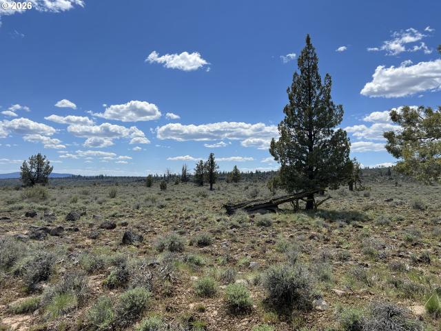 Land for sale in Oregonia