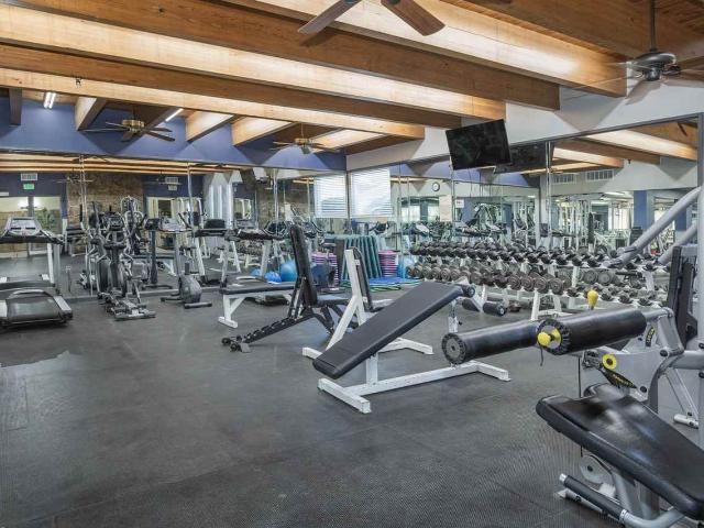 Apartment for rent in Colorado Springs, Colorado