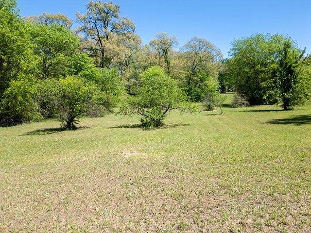 Land for sale in Morris, Texas