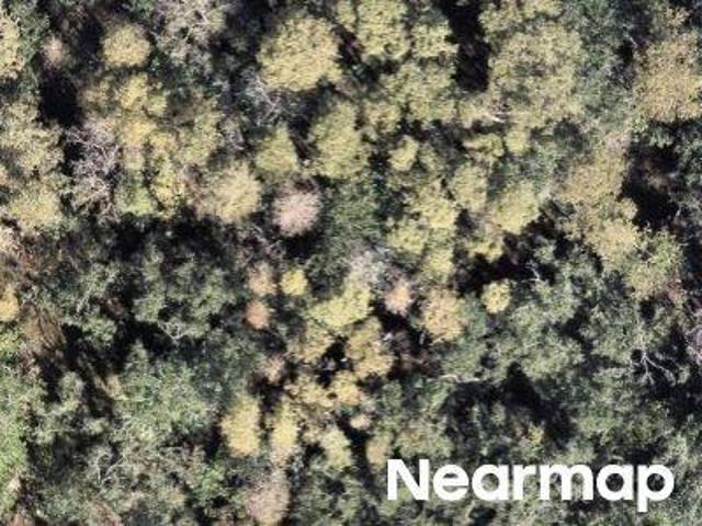 Land for sale in Florida