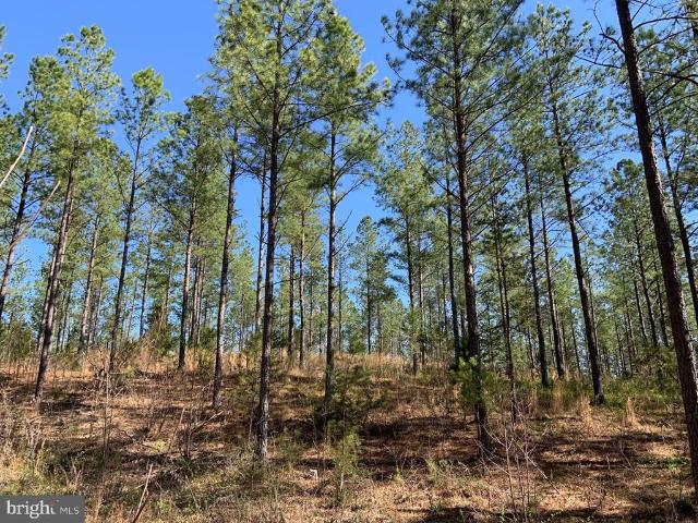 Land for sale in Virginia