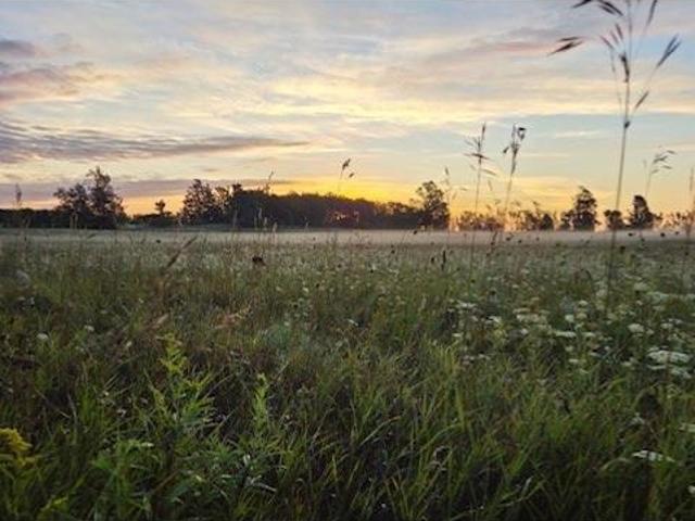 Land for sale in Wisconsin