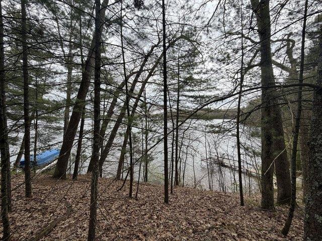 Land for sale in Allegan, Allegan County
