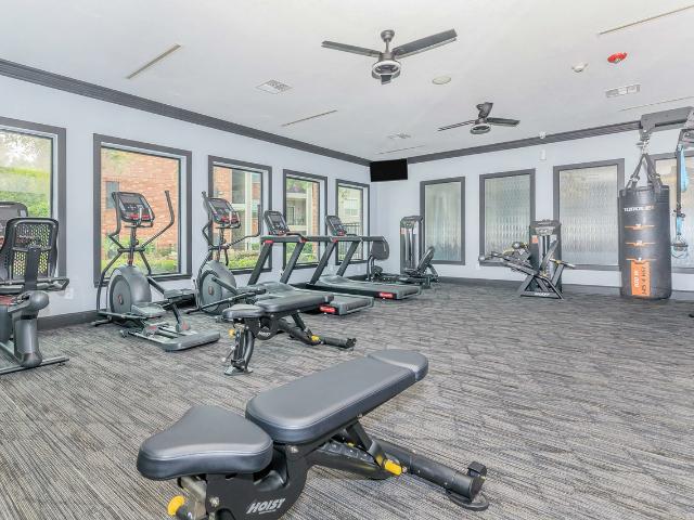 Apartment for rent in The Woodlands, Montgomery County