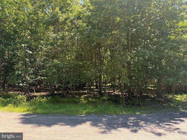 Land for sale in Buck Hill Falls, Pennsylvania