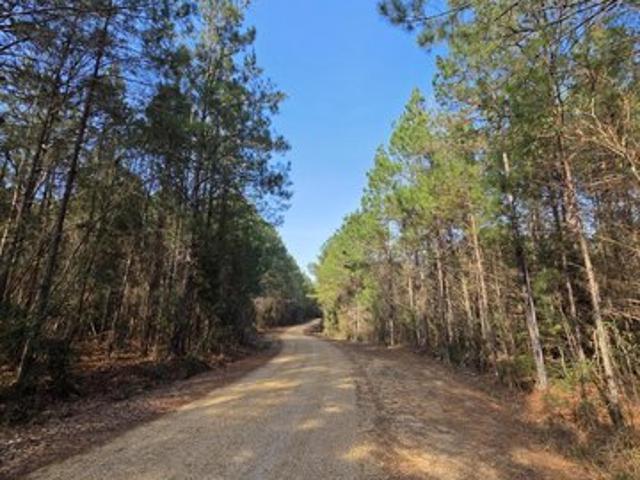 Land for sale in Meadville, Mississippi