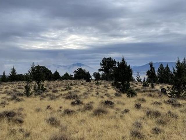 Land for sale in Oregonia
