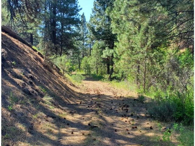 Land for sale in Dayville