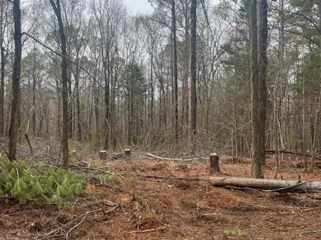 Land for sale in Caledonia, Mississippi