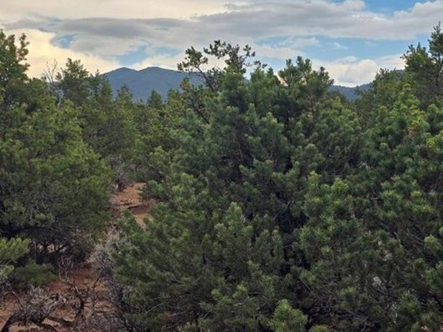Land for sale in Fort Garland, Colorado